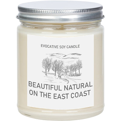 The Empire State Scented Candle - Missing Home - State Scented Candle - Moving Gift - College Student Gift.