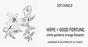 Hope + Good Fortune Soy Candle  8 oz Tumbler.  Hand-sketched design.